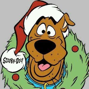 Meet your Posher, Tabitha